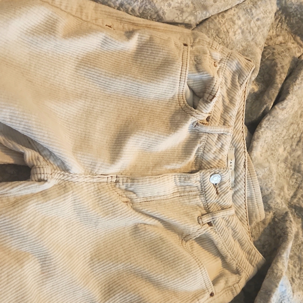 Pacsun cordoroy pants